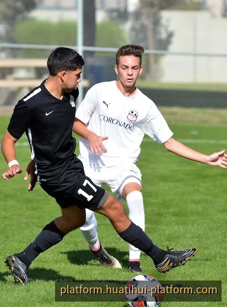 华体会体育球迷互动社区与战术复盘专区
